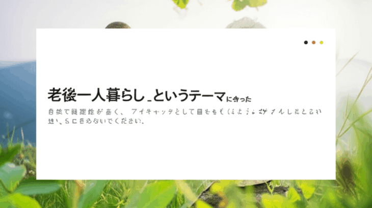 老後の一人暮らしを最高の形で迎えるために：安心と充実を手に入れる準備ガイド